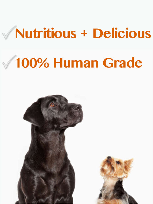 Buddy Bites Natural Liver Sprinkles | Healthy Powder Dog Food Topper or Treat  | Extra Large Value Bag - 450 g